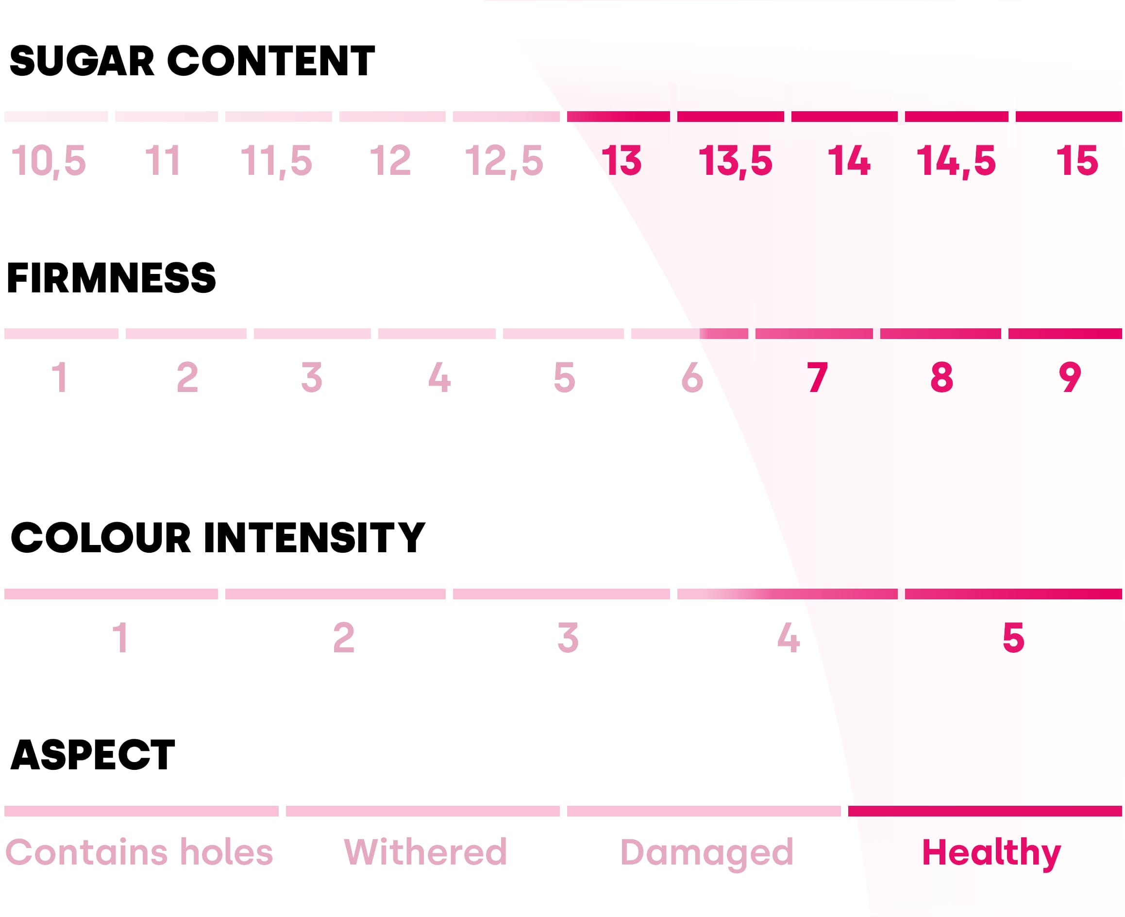 Table describing the different values of Pink Lady® apples. Sugar content: 13/15, firmness: 6.5/9, colour intensity: 4.5/5 and appearance: healthy.