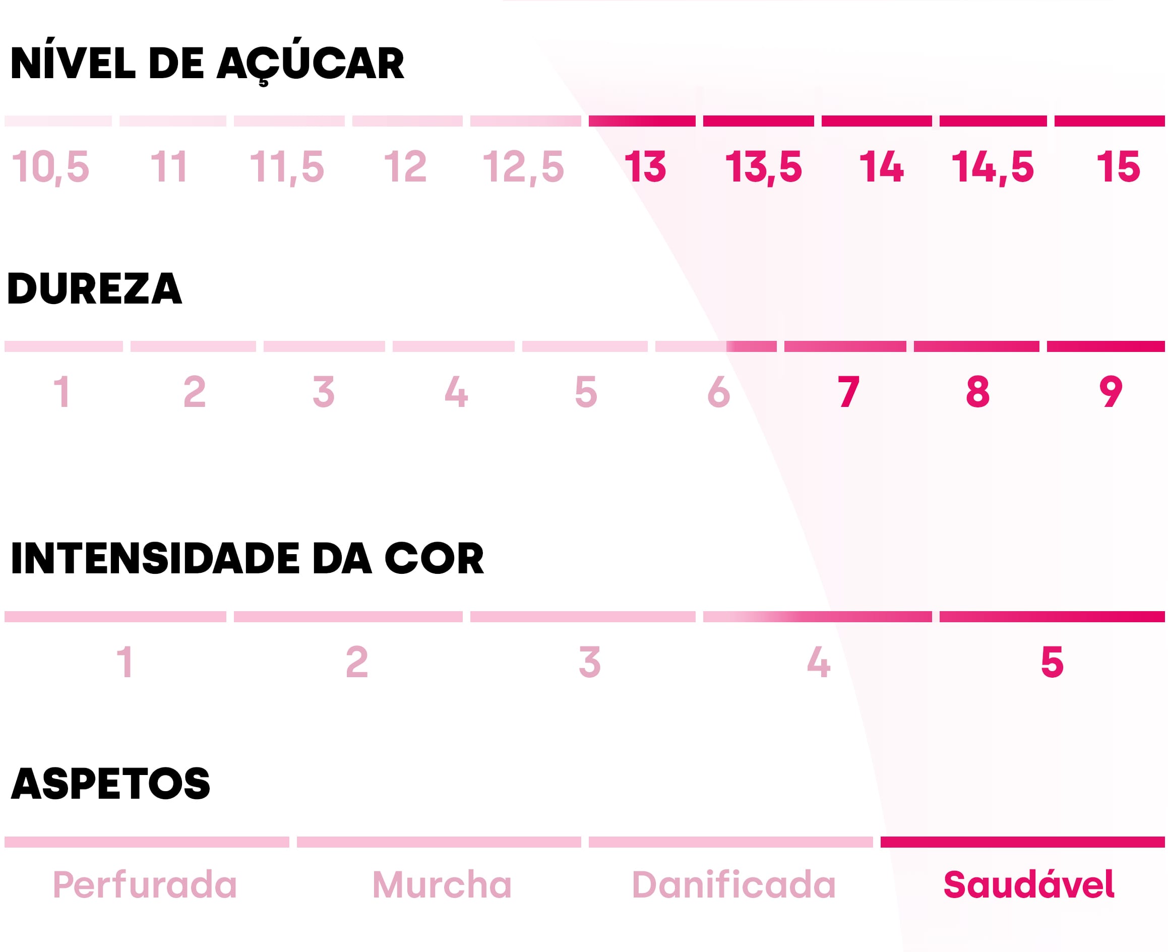 Quadro que descreve os diferentes valores da maçã Pink Lady®. Teor de açúcar: 13/15, firmeza: 6,5/9, intensidade de cor: 4,5/5 e aspeto: saudável.